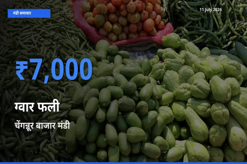 किसानों की पसंद बना चेंगन्नूर बाजार, ग्वार फली के सबसे अच्छे दाम