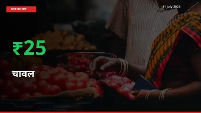 चावल 24.71% उछला, मंडी