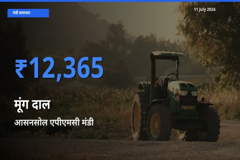 11 July अपडेट: मूंग दाल के सबसे ऊँचे दाम आसनसोल एपीएमसी मंडी में
