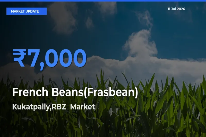 Kukatpally,RBZ  Leads as Top Mandi for French Beans(Frasbean) Prices