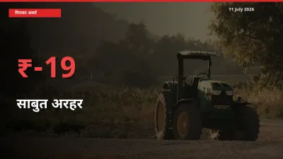 तेज़ गिरावट! मंडी में साबुत अरहर के दाम 19.43% लुढ़के