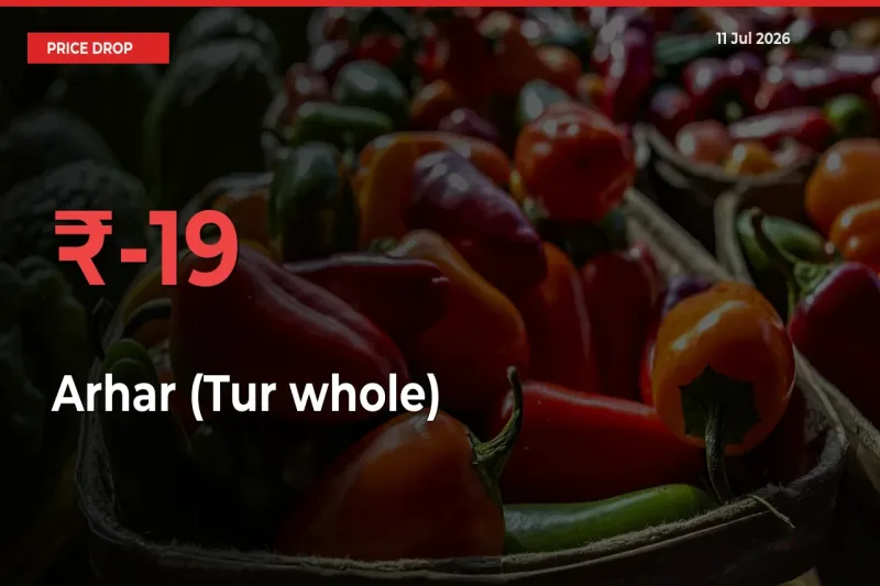 Arhar (Tur whole) Mandi Rate Today: Prices Fall 19.43% at Market