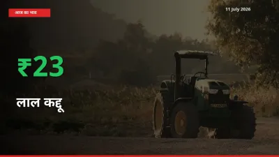 किसानों के लिए खुशखबरी! स्थानीय मंडी में लाल कद्दू 22.77% उछला