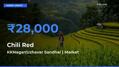 Market Watch: KKNagar(Uzhavar Sandhai ) Becomes Top Mandi for Chili Red