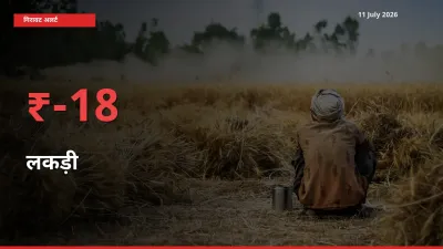 तेज़ गिरावट! मंडी में लकड़ी के दाम 17.98% लुढ़के