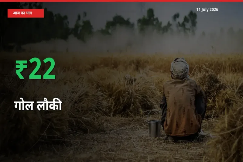 आज का मंडी भाव: गोल लौकी के दाम मंडी में 21.62% ऊपर