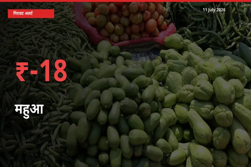 स्थानीय मंडी में महुआ के दाम अचानक 18.41% गिरे, किसानों की चिंता बढ़ी