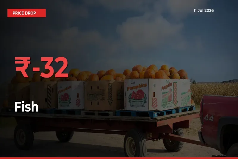 Why Fish Prices Fell 31.95% in a Day at Mandis