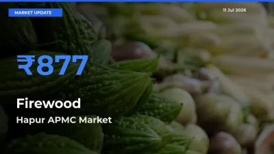 Top Performer! Hapur APMC Offers Best Firewood Price Today