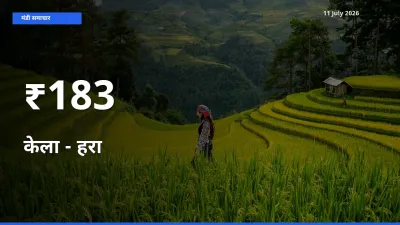 बाज़ार संकेत: केला - हरा के भाव कई मंडियों में समान रुझान दिखा रहे