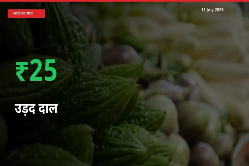 तेज़ तेजी! मंडी में उड़द दाल के दाम 25.15% चढ़े