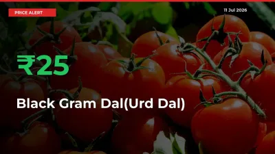 25.15% Spike in Black Gram Dal(Urd Dal) Prices – Mandi Sees Sudden Rally