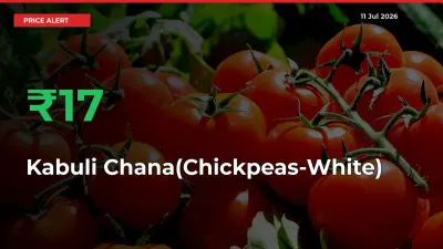 16.82% Spike in Kabuli Chana(Chickpeas-White) Prices – Mandi Sees Sudden Rally