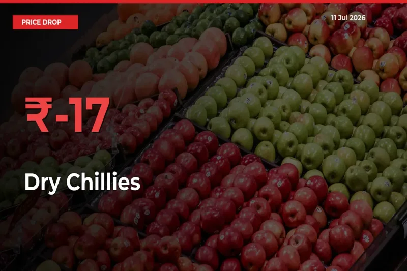 17.17% Drop in Dry Chillies Prices – Mandi Sees Sudden Fall