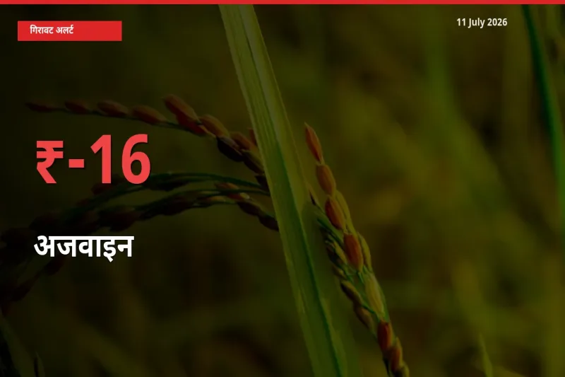 आज का मंडी भाव: अजवाइन के दाम मंडी में 16.22% नीचे