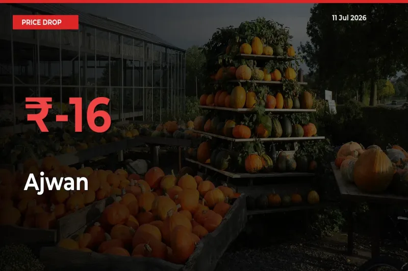 Sudden Shock! Ajwan Drops 16.22% in 24 Hours at Top Mandis