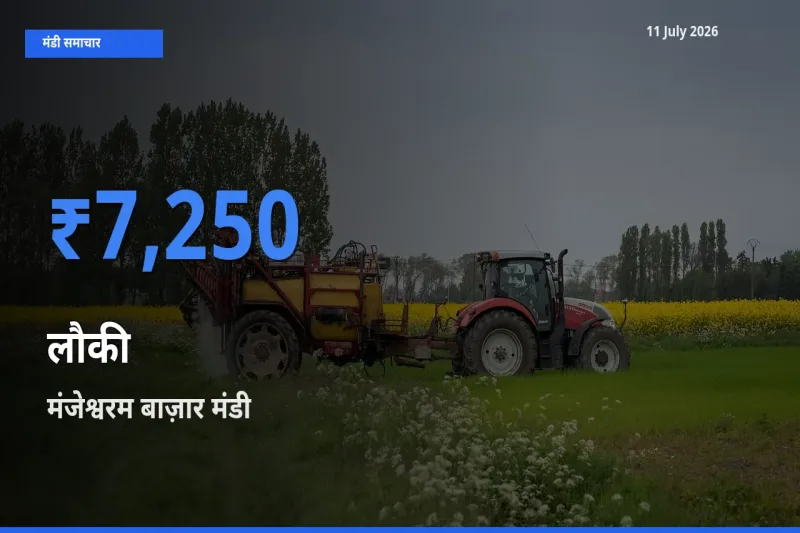 11 July अपडेट: लौकी के सबसे ऊँचे दाम मंजेश्वरम बाज़ार मंडी में