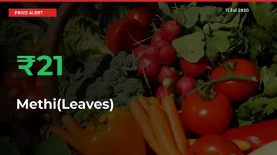 Sharp Jump! Methi(Leaves) Prices Climb 21.14% in 24 Hours at Key Mandis