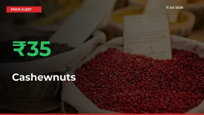 Farmers Cheer as Cashewnuts Prices Surge 35.11% in Local Mandis