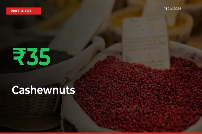Farmers Cheer as Cashewnuts Prices Surge 35.11% in Local Mandis