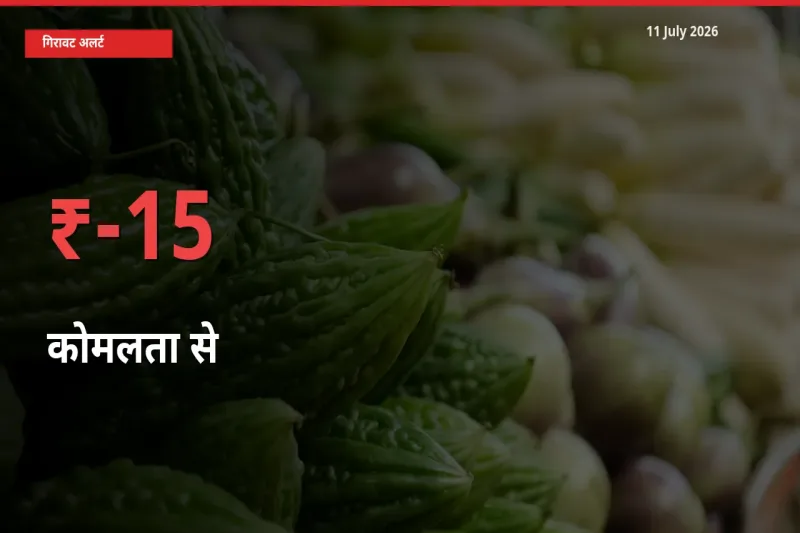 स्थानीय मंडी में कोमलता से के दाम अचानक 15.37% गिरे, किसानों की चिंता बढ़ी
