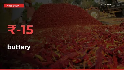 buttery Mandi Rate Today: Prices Fall 15.37% at Market