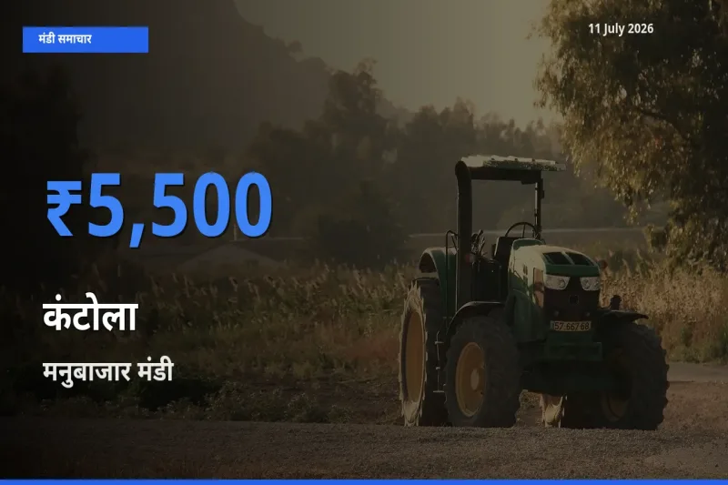 मनुबाजार में कंटोला का आज सबसे ऊँचा भाव