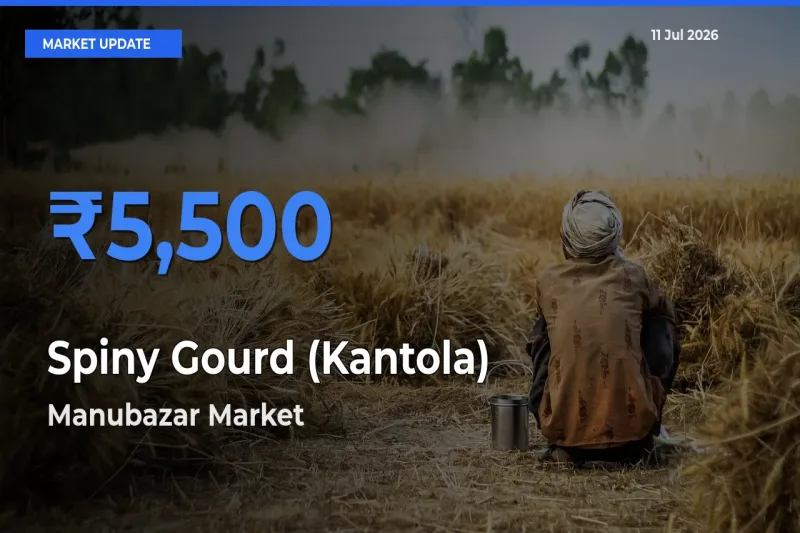 Manubazar Tops Spiny Gourd (Kantola) Rates – July 11 Market Update