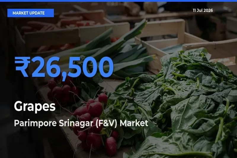 Parimpore Srinagar (F&V) Emerges as Top Mandi for Grapes Prices Today