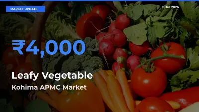 Top Performer! Kohima APMC Offers Best Leafy Vegetable Price Today