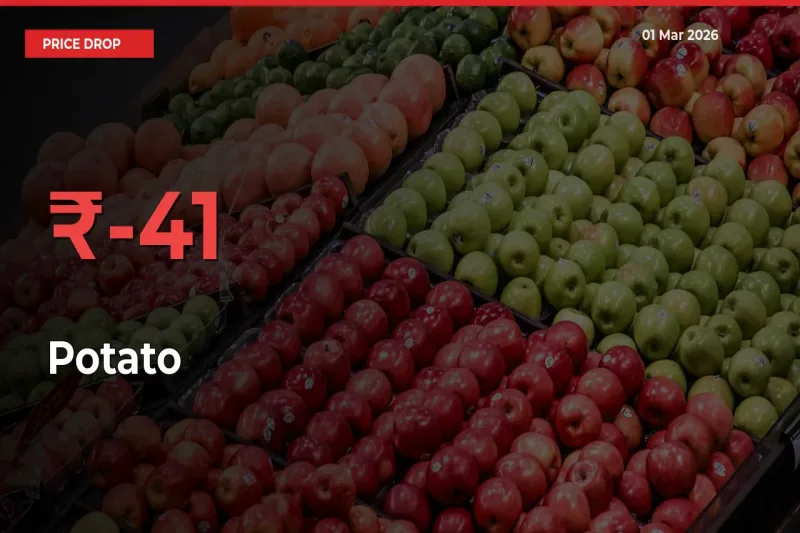 Why Potato Prices Fell 41.15% in a Day at Mandis