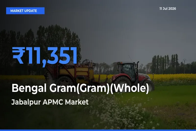 Jabalpur APMC Tops Bengal Gram(Gram)(Whole) Rates – July 11 Market Update