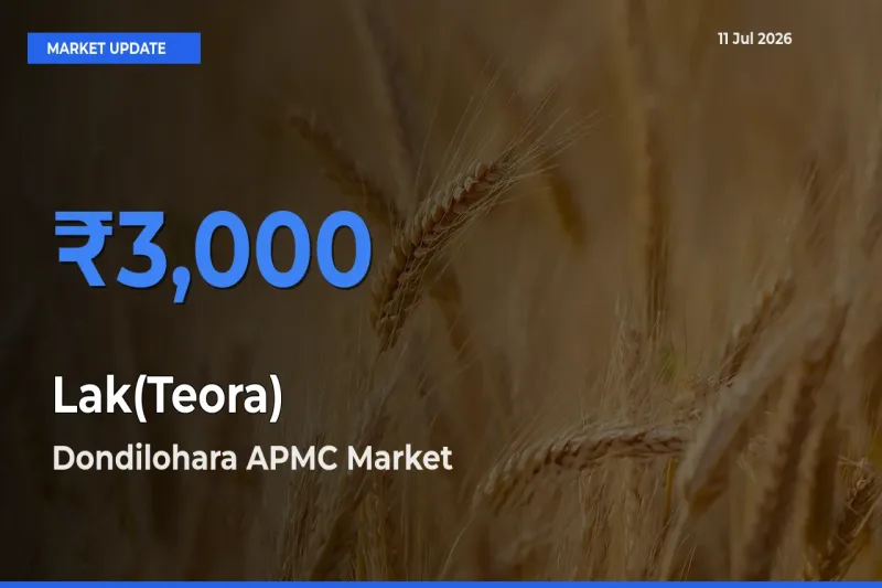 Dondilohara APMC Tops Lak(Teora) Mandi Rates Today