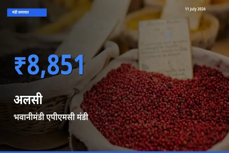 भवानीमंडी एपीएमसी मंडी में अलसी ₹8,851 पर पहुँचा – आज का सर्वोच्च भाव
