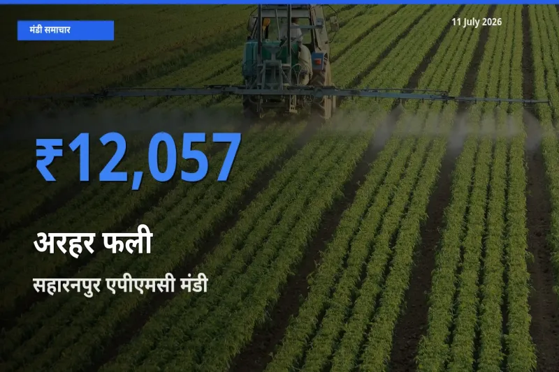 आज का मंडी भाव: अरहर फली के सबसे ज़्यादा दाम सहारनपुर एपीएमसी में