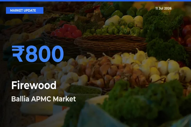 Ballia APMC Tops Firewood Rates – July 11 Market Update