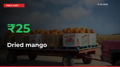 Farmers Cheer as Dried mango Prices Surge 24.92% in Local Mandis