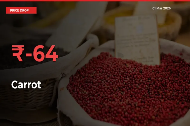 Carrot Mandi Rate Today: Prices Fall 63.66% at Market