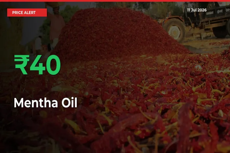 Mentha Oil Prices Rise 39.85% in a Day at Major Mandis