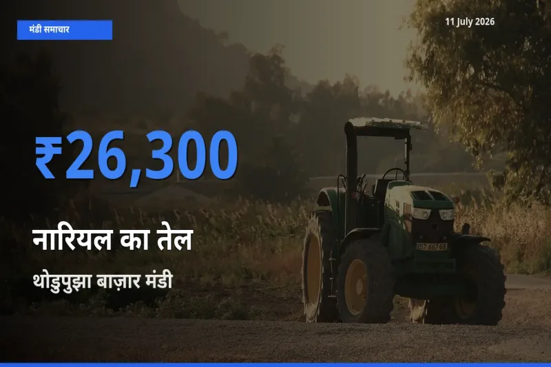 थोडुपुझा बाज़ार मंडी में आज नारियल का तेल के सबसे ऊँचे दाम दर्ज