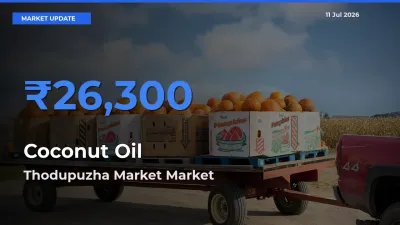 Thodupuzha Market Emerges as Top Mandi for Coconut Oil Prices Today
