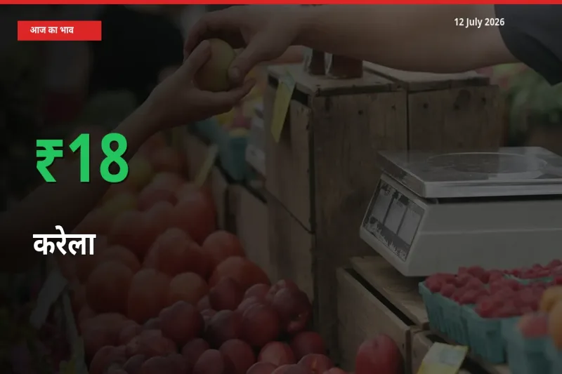 तेज़ तेजी! मंडी में करेला के दाम 18.28% चढ़े