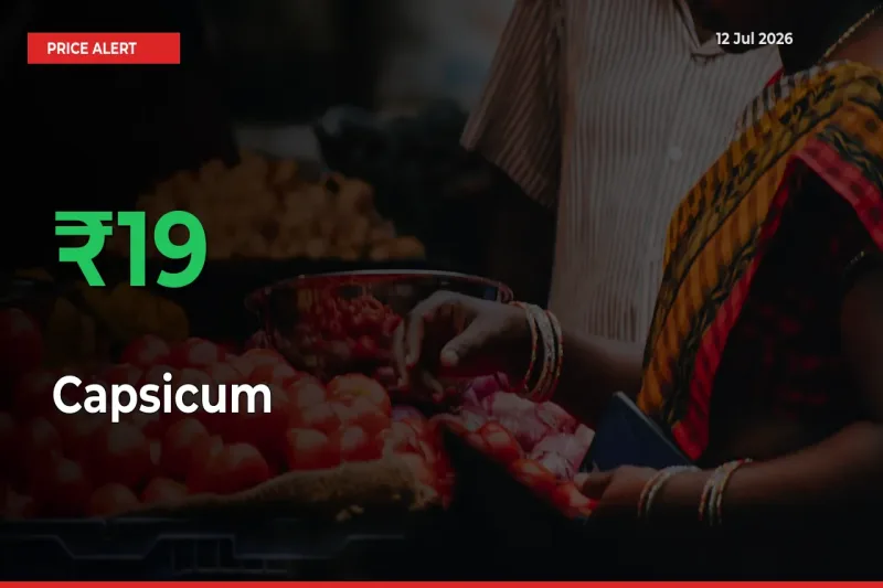 Why Capsicum Prices Rose 19.4% in a Day at Mandis