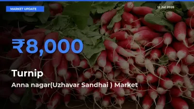 Turnip Mandi Rate Today: Anna nagar(Uzhavar Sandhai ) Tops the List