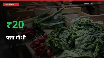 पत्ता गोभी के दाम प्रमुख मंडी में 19.73% बढ़े, 24 घंटे में बड़ा बदलाव