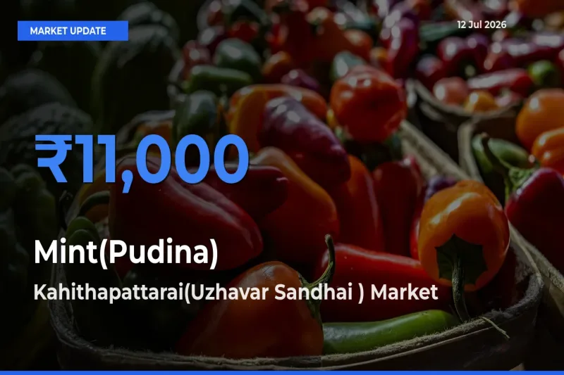 Kahithapattarai(Uzhavar Sandhai ) Tops Mint(Pudina) Rates – July 12 Market Update
