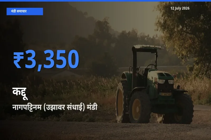 आज कद्दू के सबसे ज़्यादा दाम नागपट्टिनम (उझावर संधाई) मंडी में दर्ज