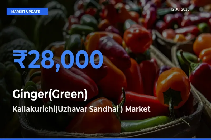 Kallakurichi(Uzhavar Sandhai ) Tops Ginger(Green) Mandi Rates Today