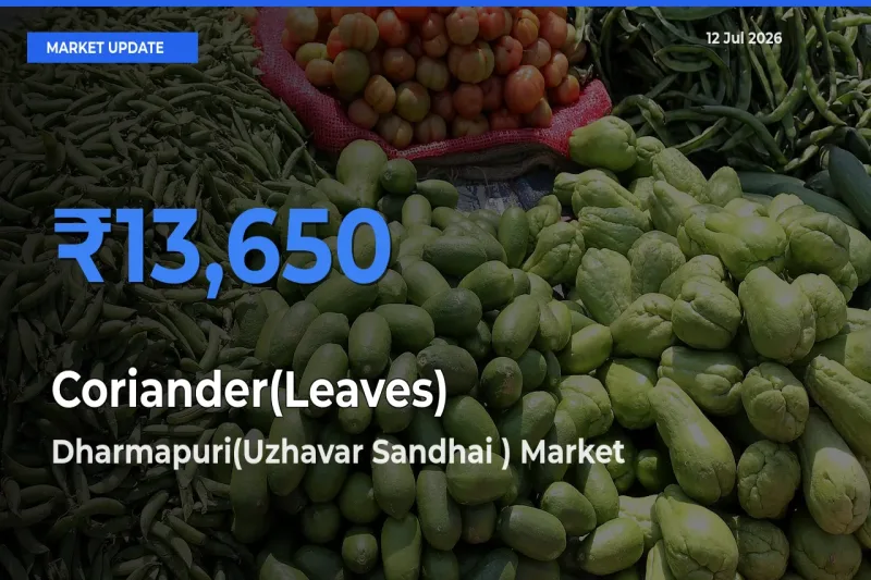 Dharmapuri(Uzhavar Sandhai ) Tops Coriander(Leaves) Mandi Rates Today