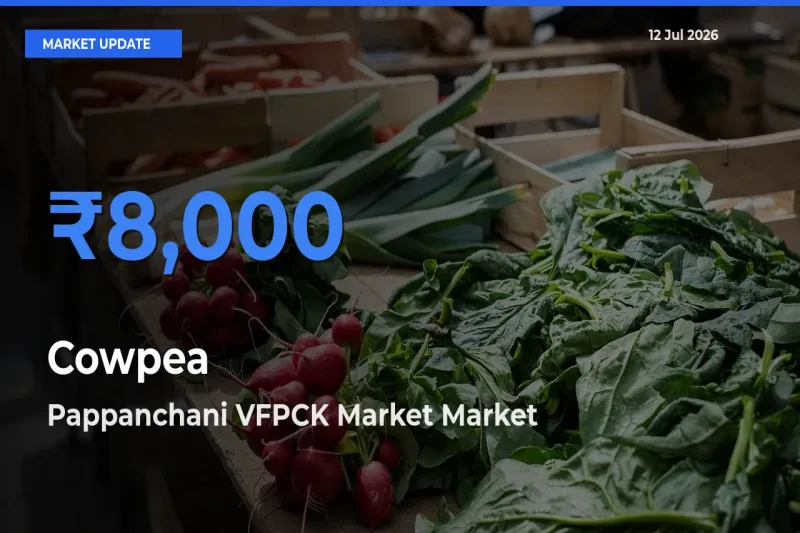 Pappanchani VFPCK Market Tops Cowpea Mandi Rates Today
